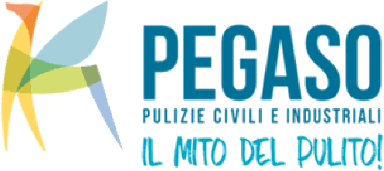 Pegaso S.R.L - Pulizie civili e industriali